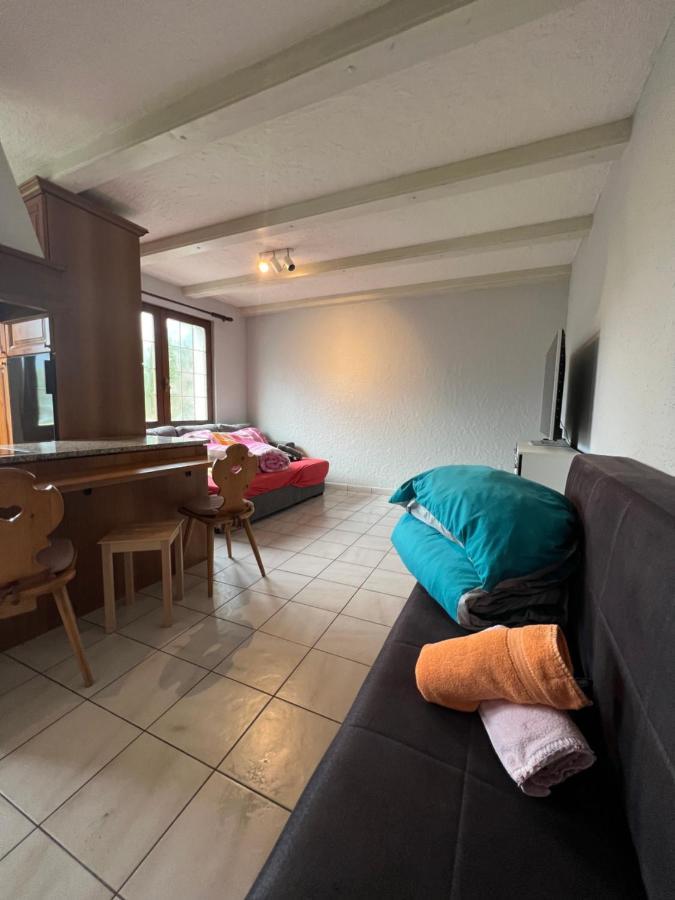 Tiny Apartment With Amazing View, Garden & Terras Schattdorf Buitenkant foto